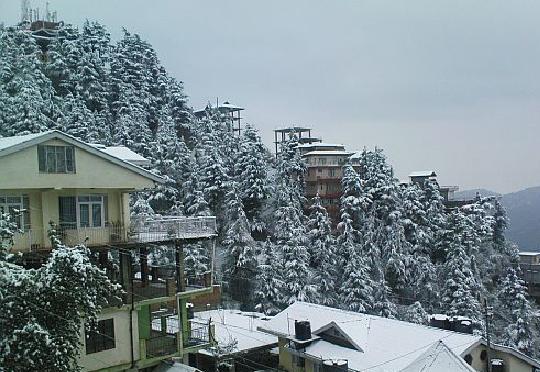 Shimla-snow